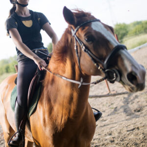 Horseback Riding